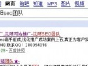 沈阳SEO团队博客百度收录了