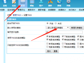 帝国CMS TAGS调用详解