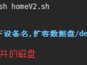 Llinux系统(Centos/Ubuntu/Debian)弹性云数据盘home扩容|云盘一键分扩容